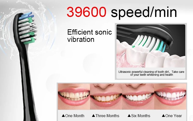 Electric Sonic Toothbrush 8 Brush Heads Smart Ultrasonic Dental Teeth Whitening Rechargeable Adult Tooth Brush Sarmocare S100