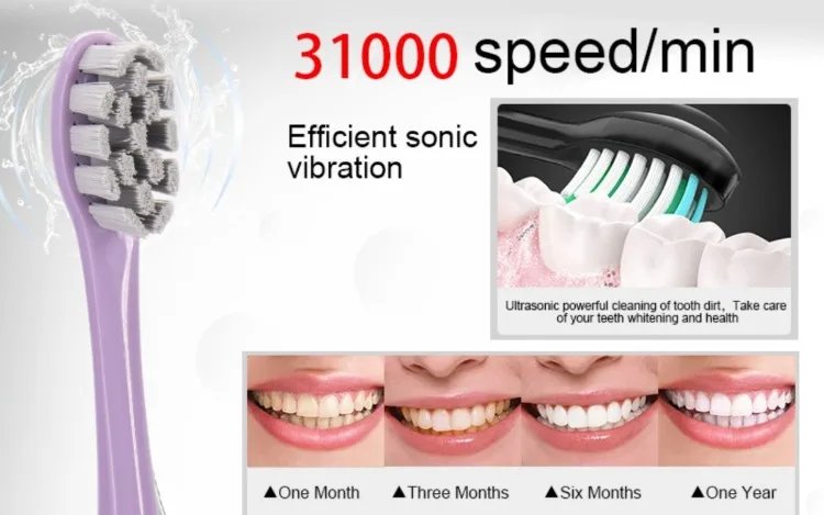 Sonic Electric Toothbrush Adults 8 Brush Heads 5 Modes USB Rechargeable IPX7 Waterproof Whitening Power Toothbrushes for Adults Sonic Electric Toothbrush Adults 8 Brush Heads 5 Modes USB Rechargeable IPX7 Waterproof Whitening Power Toothbrushes for Adults